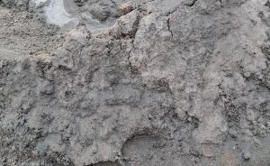 IMG-20261005-WA0015